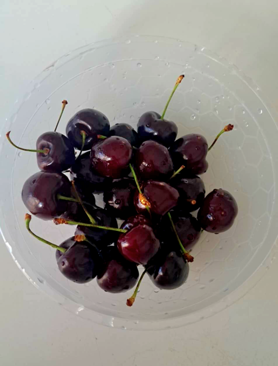 Messenger_creation_37E03340-11B1-468B-A3AD-33FDE34