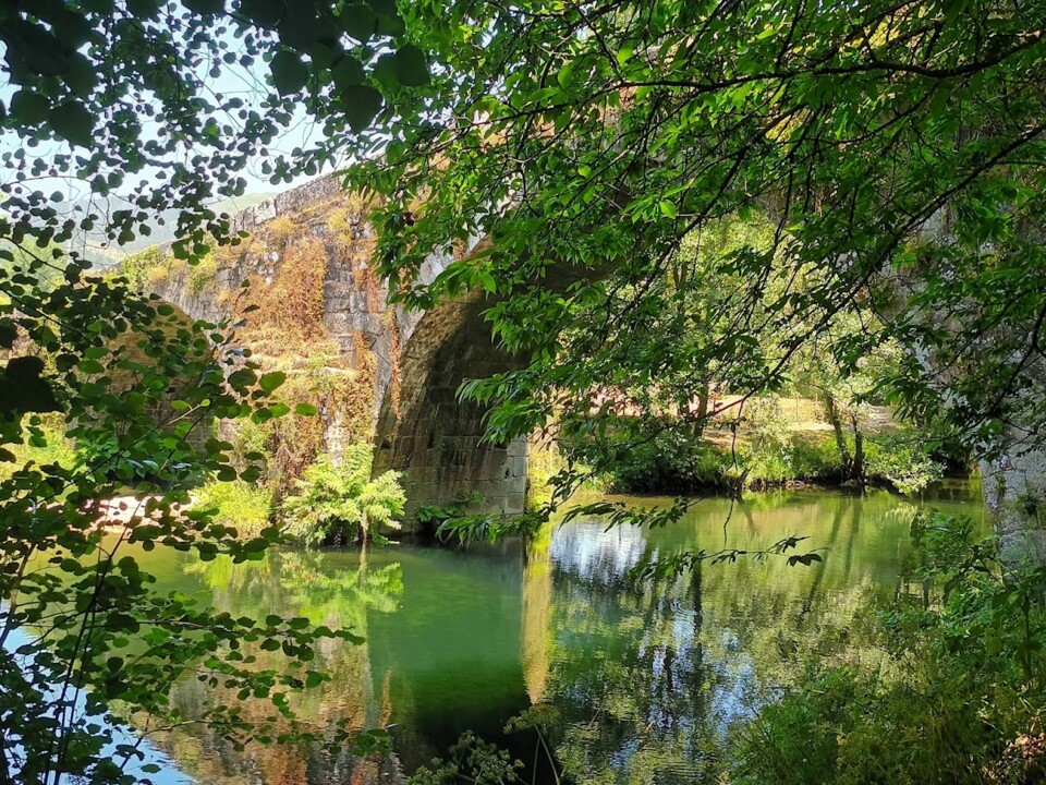 Não me canso disto minho8.jpg