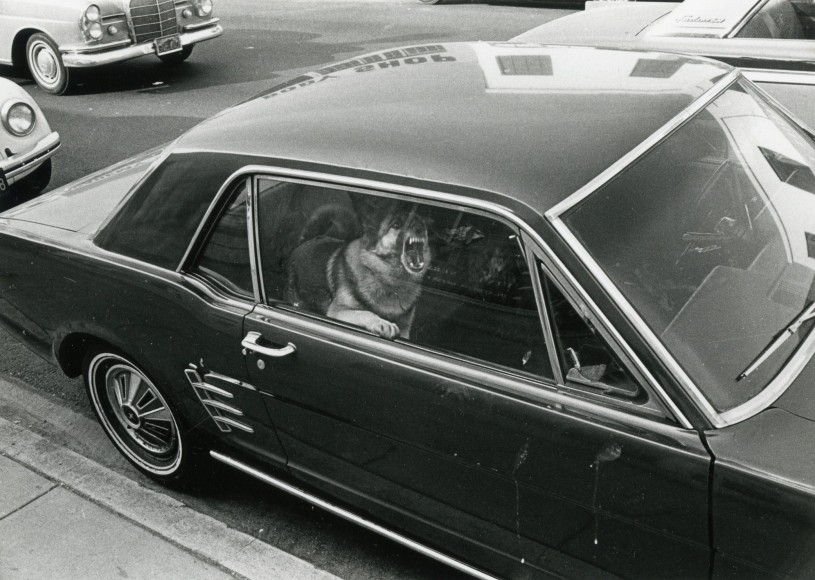 Los Angeles, 1971 II.jpg