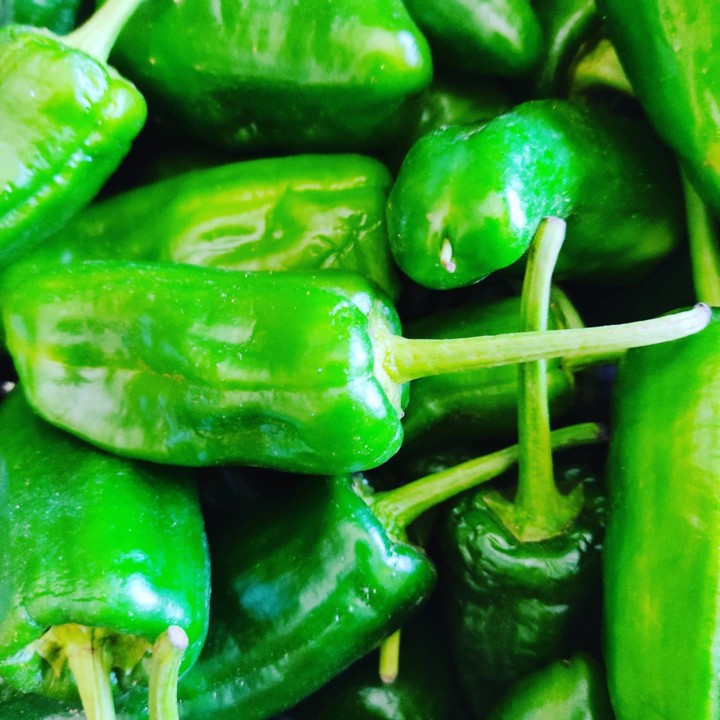 193240534_2032413183565099_6111191970598694884_n.j