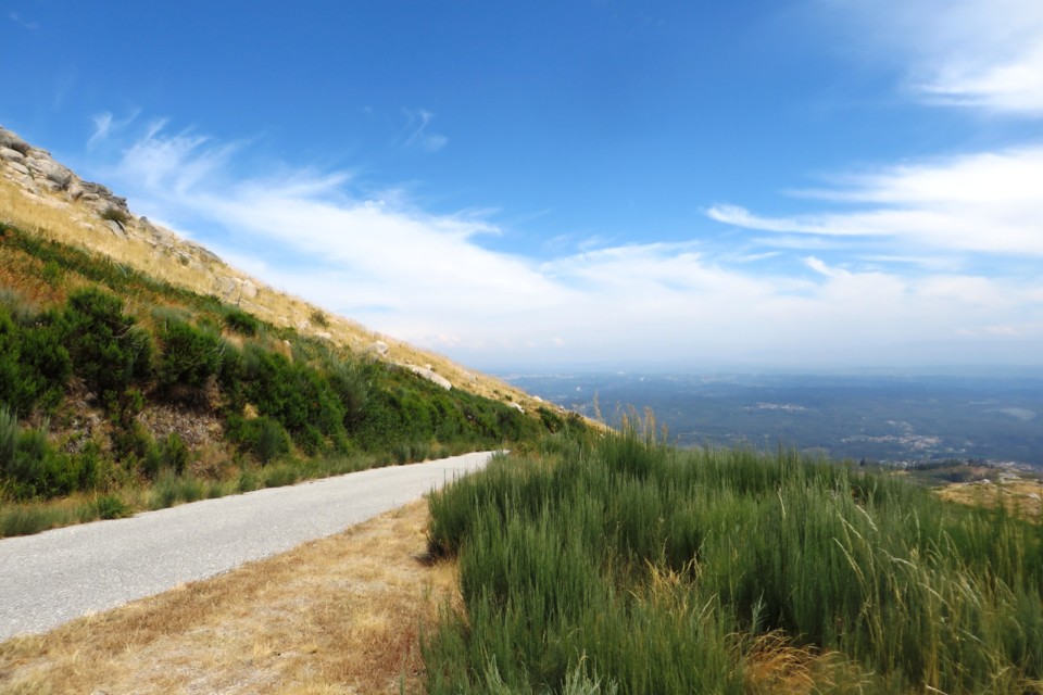 IMG_3358.JPG IMG_3358.JPG