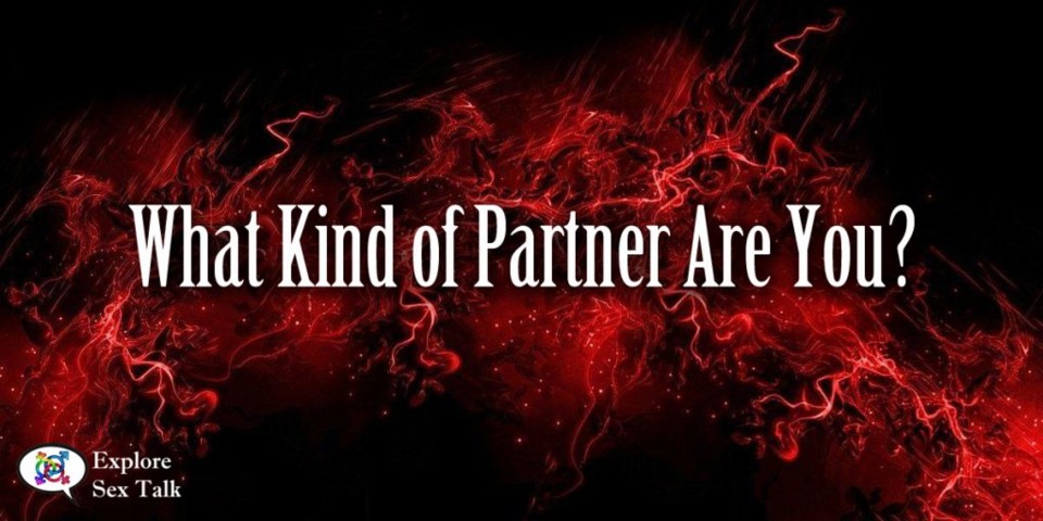 what-kind-partner-web-1024x512.jpg