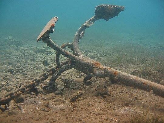Por teimosa ou paixão.jpg