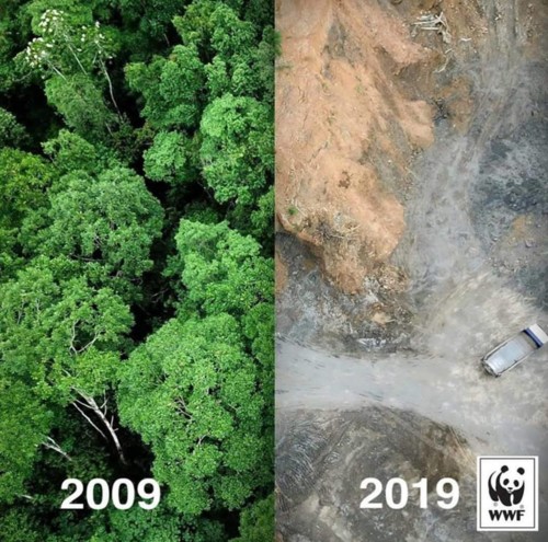 49275528_2355705601124010_3655589997274202112_n.jp 49275528_2355705601124010_3655589997274202112_n.jp