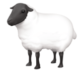 2019-02-14 13-12-23 Messenger - Opera.png