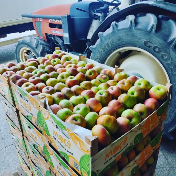 525733543_18491762116066958_7271718597598206607_n.