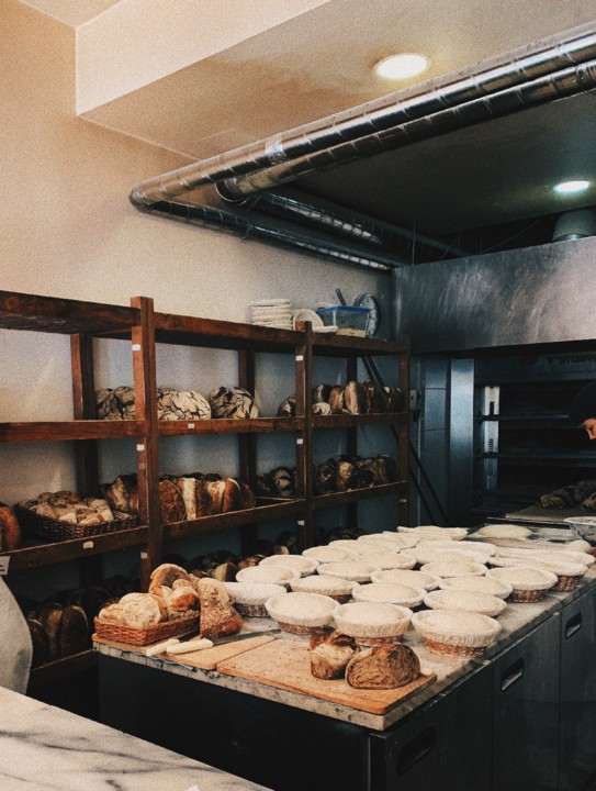 gleba2.JPG gleba2.JPG