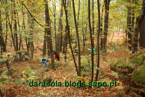 Caminhada_Micologica_08.JPG