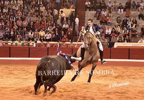 BARREIRA DE SOMBRA18-45-DSC_5466.JPG