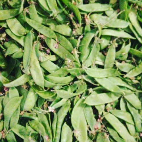 30264647_1076988332440927_8174515226117913413_n.jp