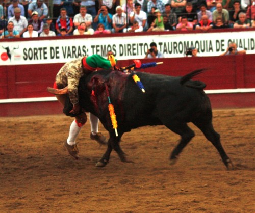 O grupo de Turlock cumpriu bem nestas Sanjoaninas...