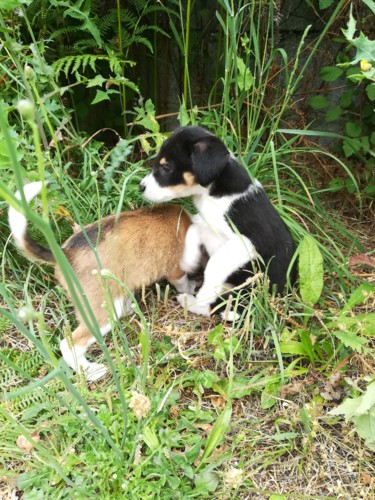 38013949_1084995834996917_8625371104438910976_n.jp