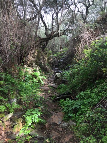 IMG_8822.JPG IMG_8822.JPG