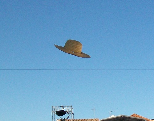 100_4667.JPG 100_4667.JPG