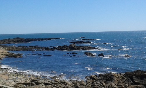 20160501_153834.jpg 20160501_153834.jpg