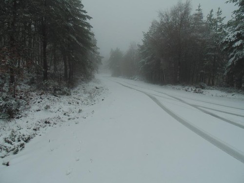 12592679_1693722240881684_1072155541661806942_n.jp