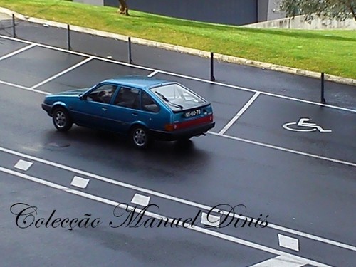 alem corgo Fevereiro 2016  (77).jpg