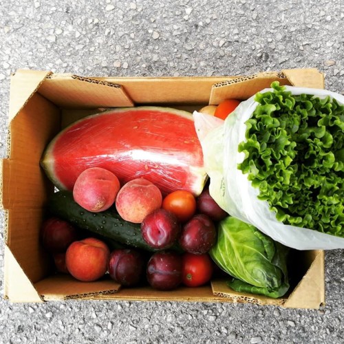 36657909_1133791960093897_5171413522311020544_n.jp