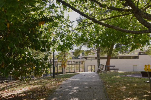 lago bar.jpg lago bar.jpg