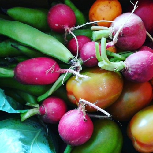 33322440_1100640860075674_3806060886544613376_n.jp 33322440_1100640860075674_3806060886544613376_n.jp