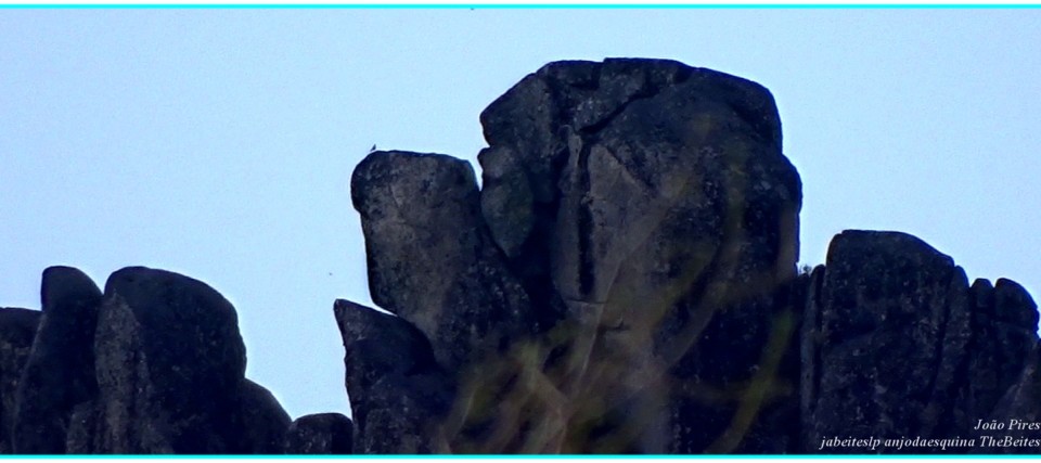 24    Vale Glaciar de Manteigas, 6-9-2020.jpg