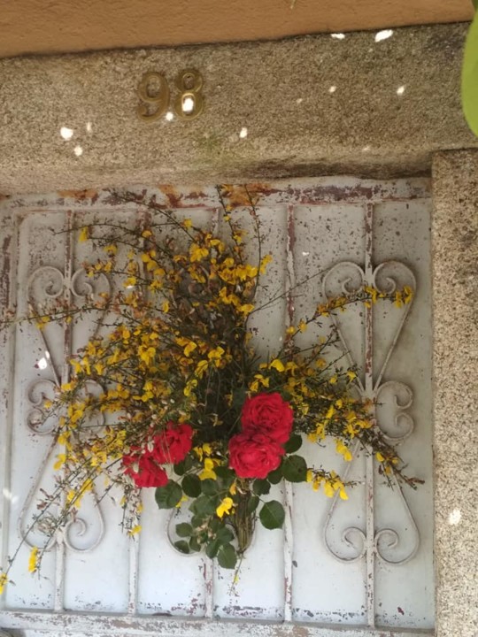 181023764_3905880016165802_7047907474048323176_n (