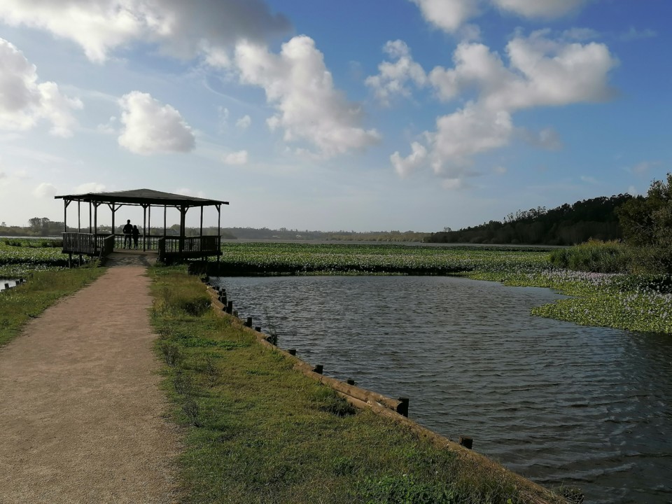 IMG_20201004_164905.jpg IMG_20201004_164905.jpg