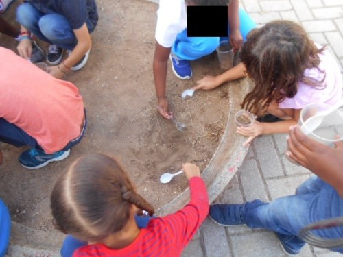 DSCN532911.jpg DSCN532911.jpg