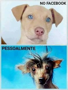 13b8214d6fde8be6dcfcd784b83d04a1.jpg 13b8214d6fde8be6dcfcd784b83d04a1.jpg