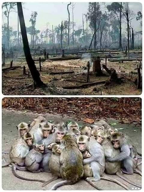 69412213_2554620587923645_2956800587741528064_n.jp