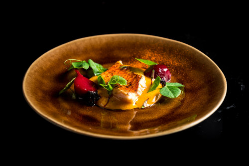 1182-166-Salmonete_byPedroLemos©MárioCerdeira.jp