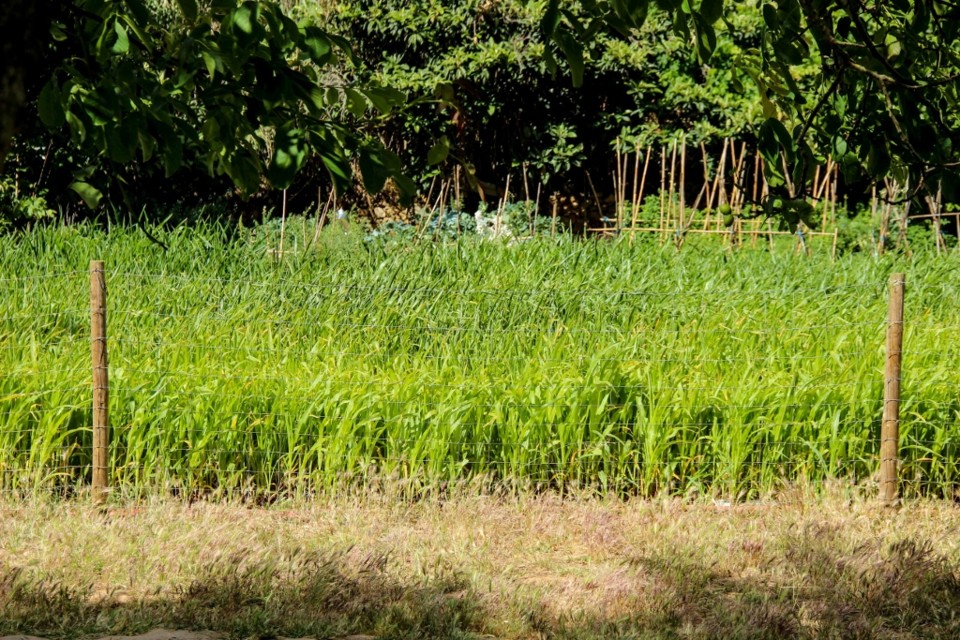 trilho-1-9 (1024x683).jpg