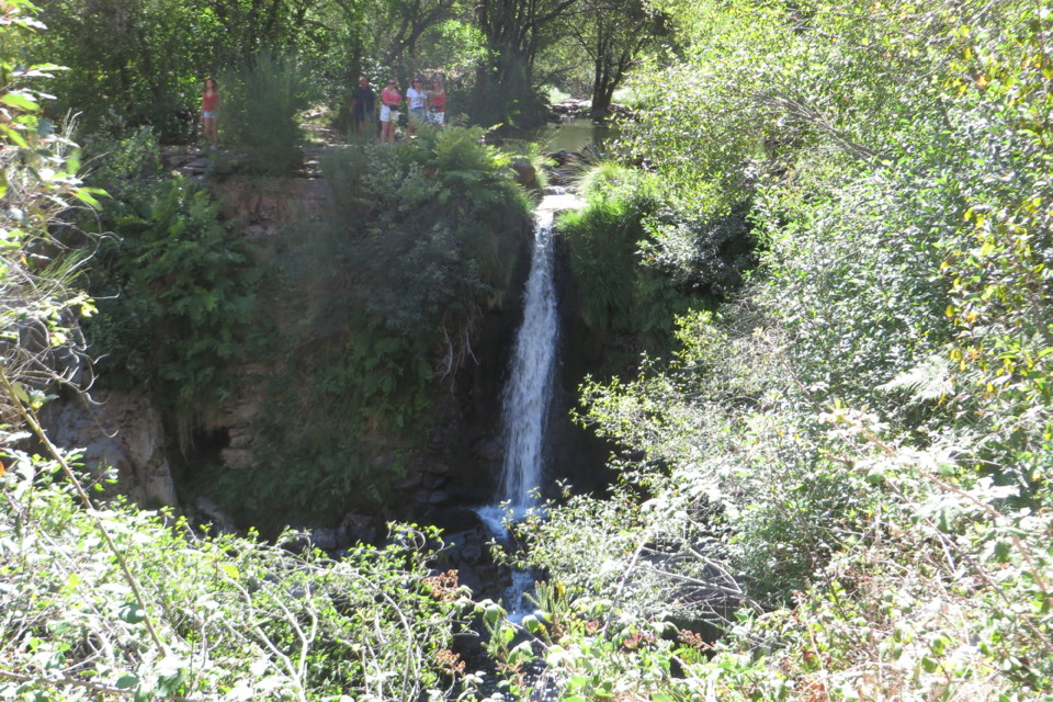 IMG_3558.JPG IMG_3558.JPG