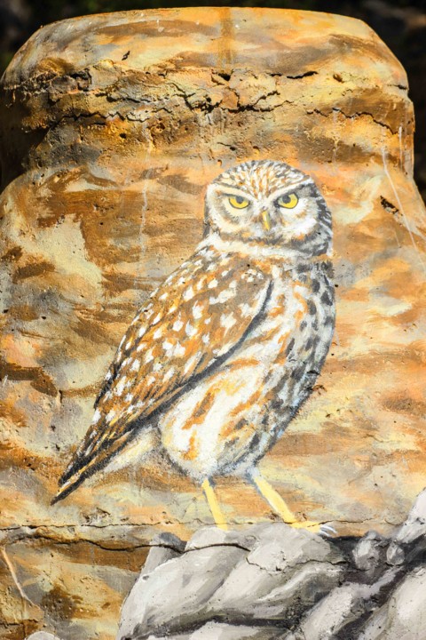 trilho das vinhas-72.jpg