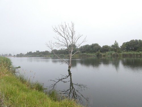 P1044556.JPG