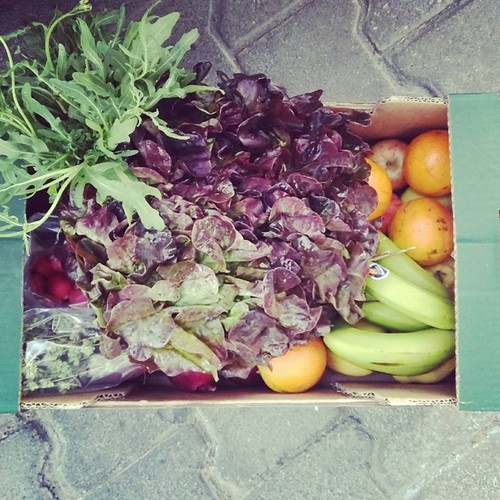 21618012_967929423346819_4368796936507157369_n.jpg 21618012_967929423346819_4368796936507157369_n.jpg