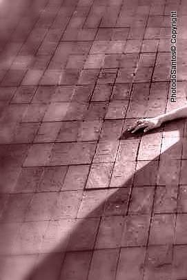 533757_437565422957509_431524054_n_ (2)_ (3)_tonem