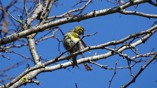 DSC00106.jpg DSC00106.jpg