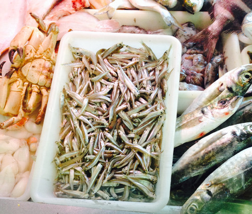 FullSizeRender-21.jpg FullSizeRender-21.jpg