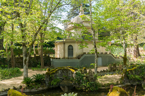 DSC02038.jpg DSC02038.jpg