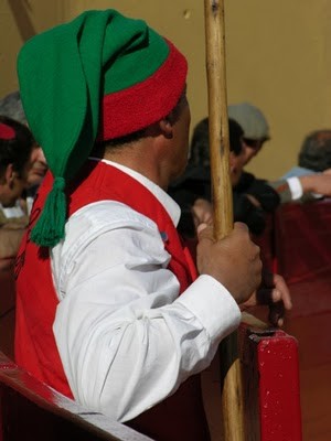 O campinos vêm hoje a Angra...