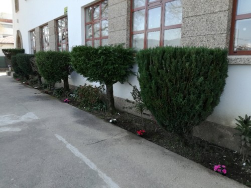 IMG_20180322_142108.jpg IMG_20180322_142108.jpg