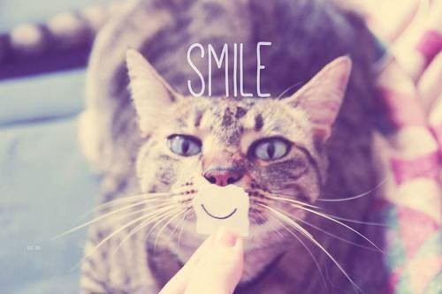 tumblr_inline_mojp7uDbQS1ro2p9r.jpg tumblr_inline_mojp7uDbQS1ro2p9r.jpg