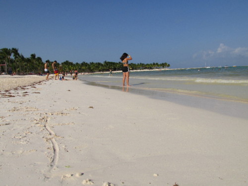 IMG_2474.JPG IMG_2474.JPG