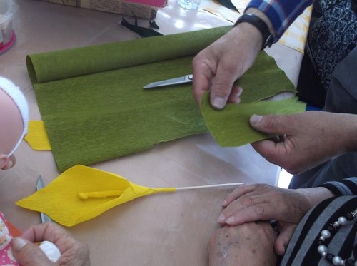 12994388_1729644187307166_3093426167738985033_n.jp