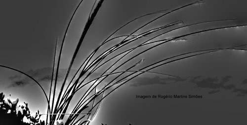 meco 041_tonemapped.jpg