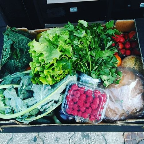 18219446_1457156624337217_7422632239806021632_n.jp