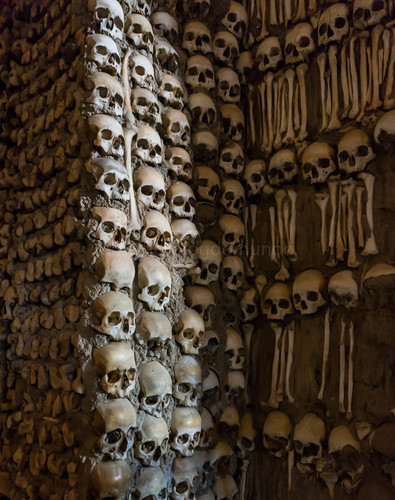 DSC00725.jpg DSC00725.jpg