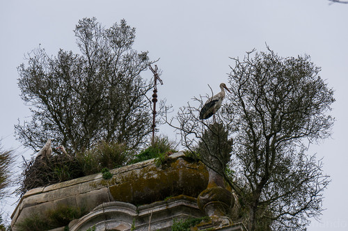 DSC01091.jpg DSC01091.jpg