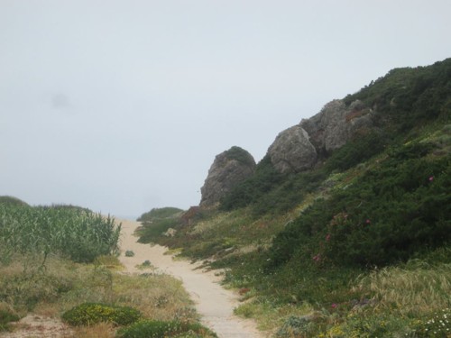 33168521_1652206324894666_1261867726641561600_n.jp